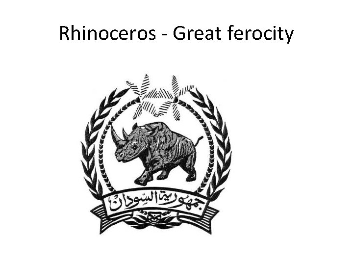 Rhinoceros - Great ferocity 