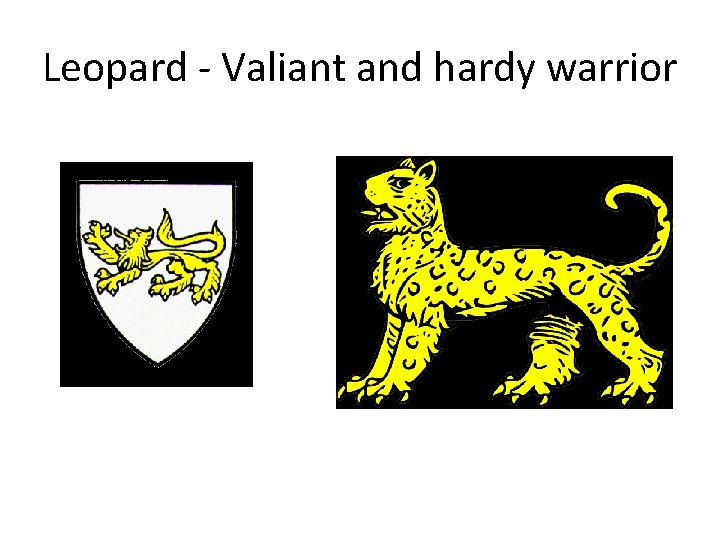 Leopard - Valiant and hardy warrior 