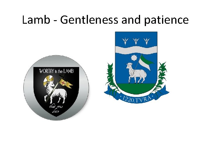 Lamb - Gentleness and patience 