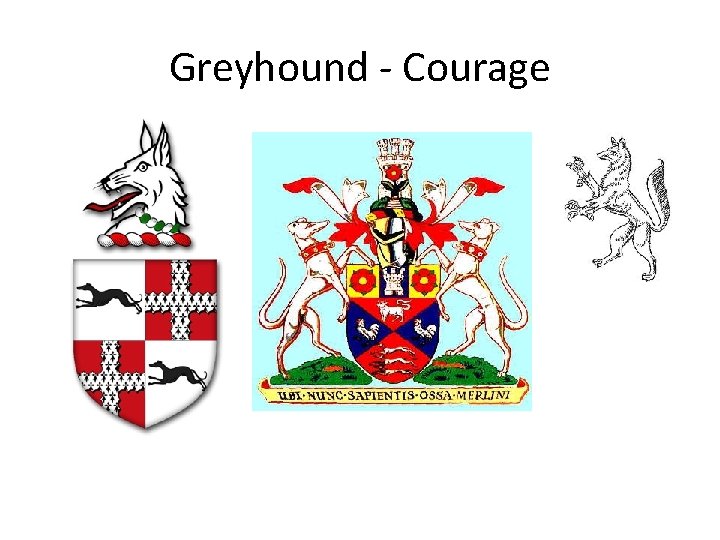 Greyhound - Courage 