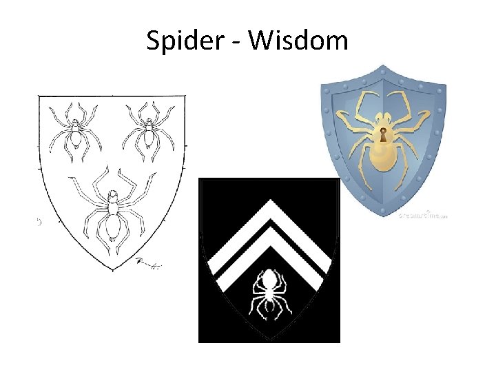 Spider - Wisdom 