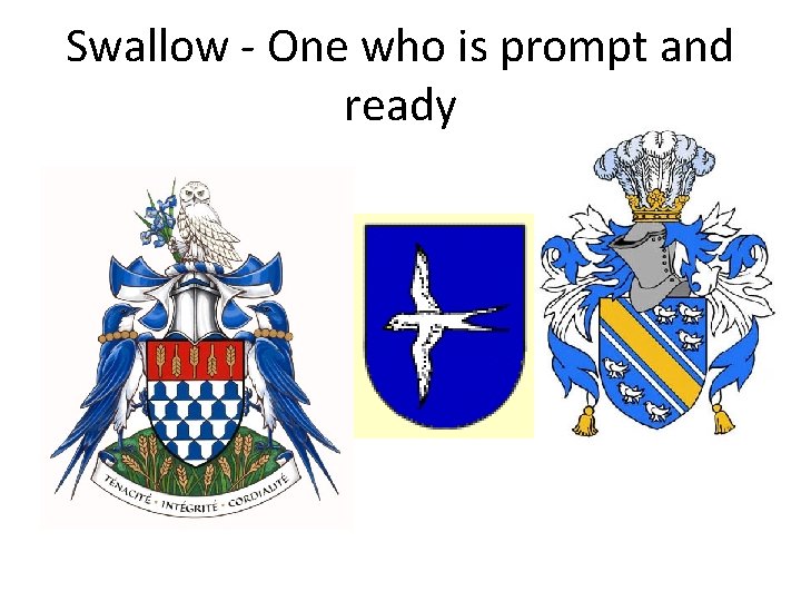 Swallow - One who is prompt and ready 