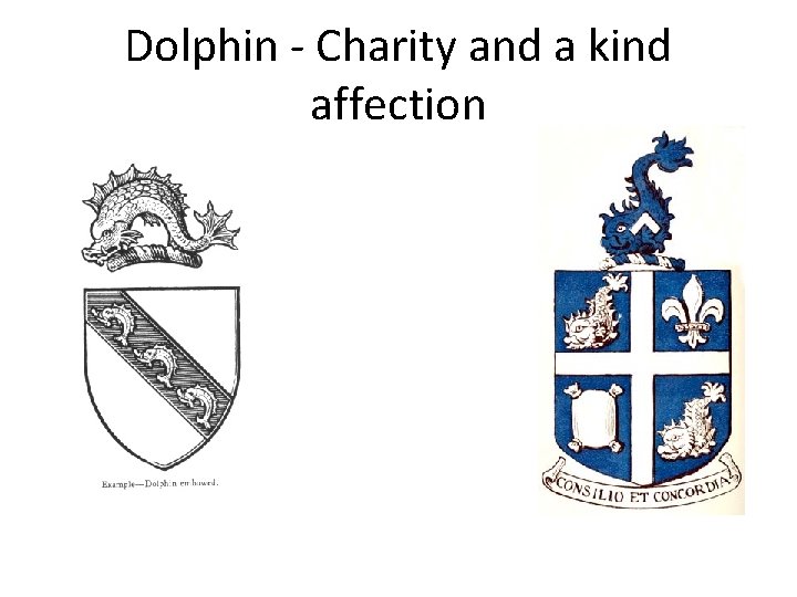 Dolphin - Charity and a kind affection 