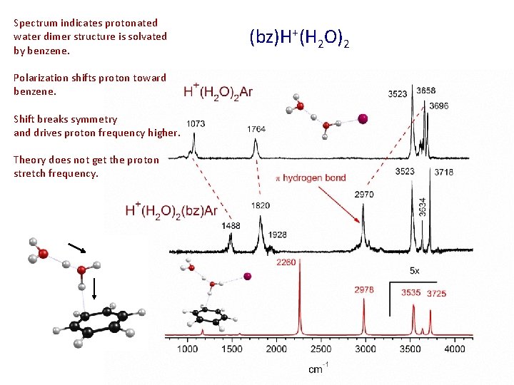 Spectrum indicates protonated water dimer structure is solvated by benzene. Polarization shifts proton toward