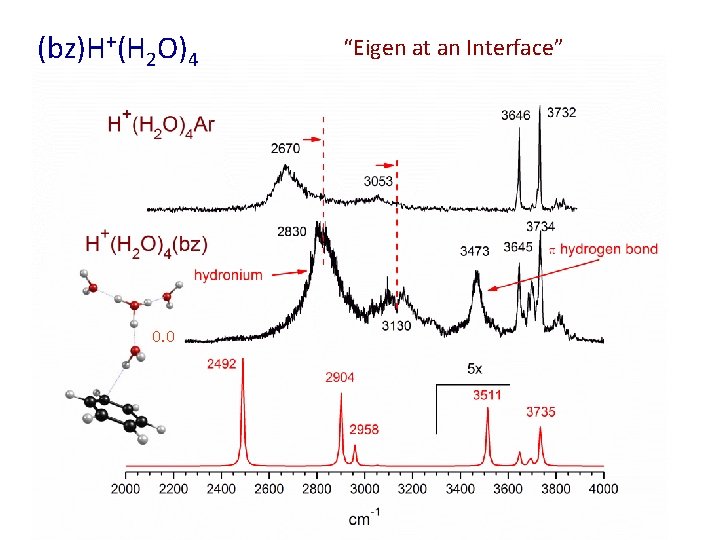 (bz)H+(H 2 O)4 0. 0 “Eigen at an Interface” 