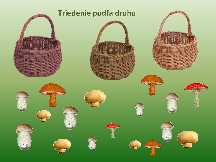 Triedenie podľa druhu 