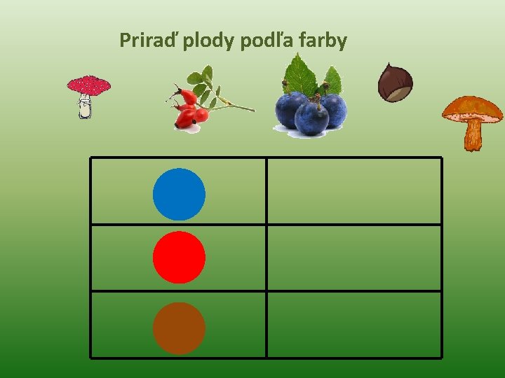 Priraď plody podľa farby 