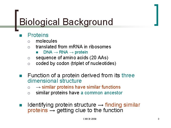 Biological Background n Proteins ¡ ¡ molecules translated from m. RNA in ribosomes n