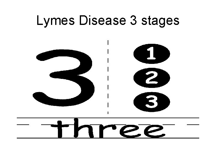 Lymes Disease 3 stages 