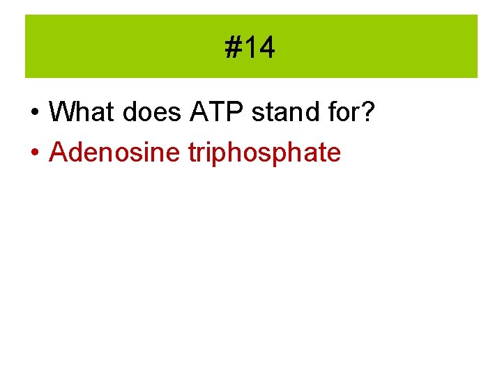 #14 • What does ATP stand for? • Adenosine triphosphate 