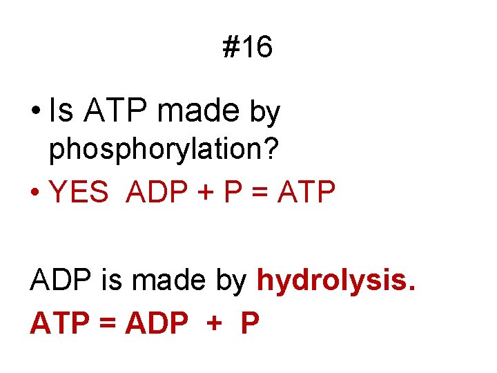 #16 • Is ATP made by phosphorylation? • YES ADP + P = ATP