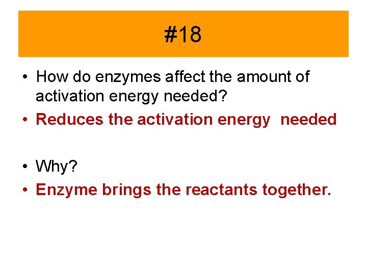 #18 • How do enzymes affect the amount of activation energy needed? • Reduces