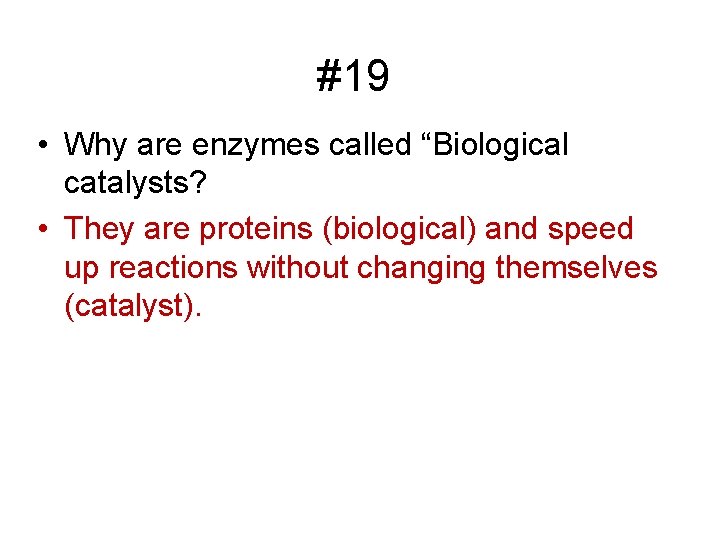 #19 • Why are enzymes called “Biological catalysts? • They are proteins (biological) and