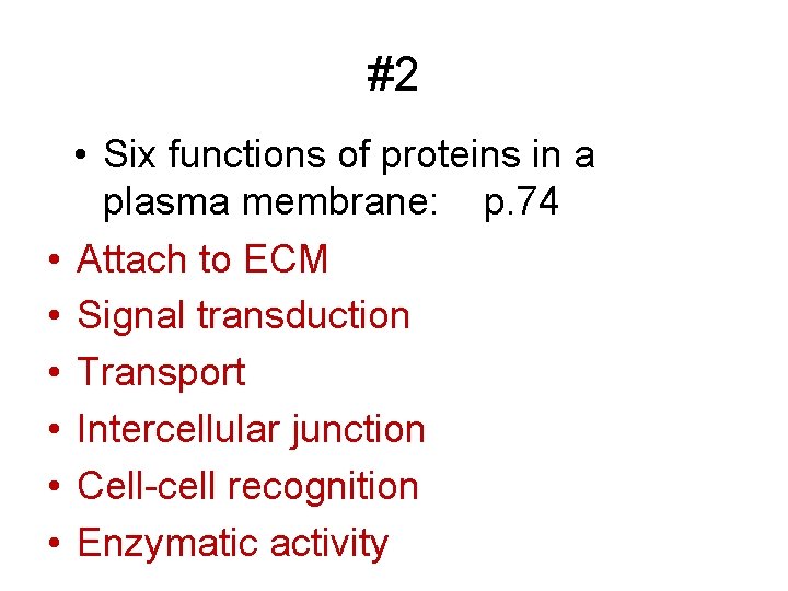 #2 • • Six functions of proteins in a plasma membrane: p. 74 Attach