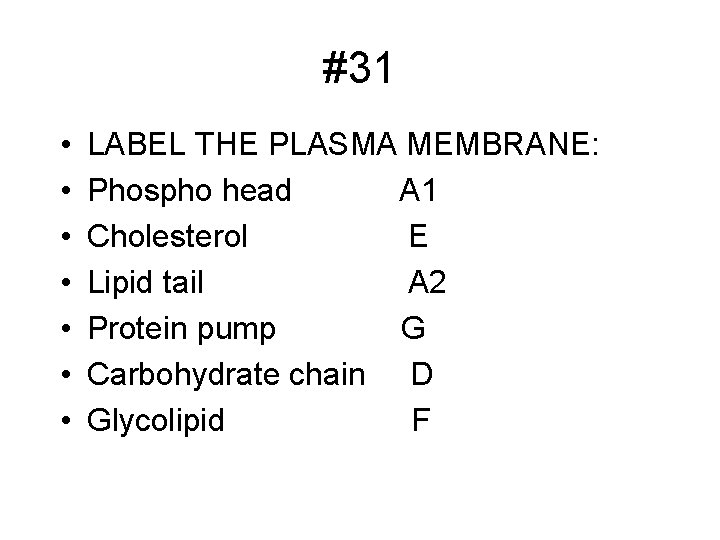 #31 • • LABEL THE PLASMA MEMBRANE: Phospho head A 1 Cholesterol E Lipid