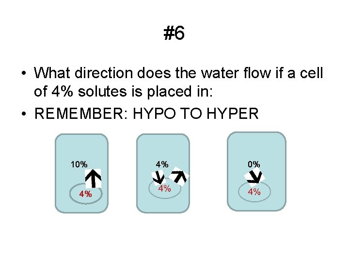 #6 • What direction does the water flow if a cell of 4% solutes