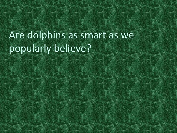 Are dolphins as smart as we popularly believe? 