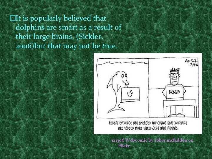 �It is popularly believed that dolphins are smart as a result of their large