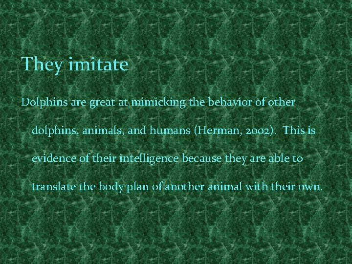 They imitate Dolphins are great at mimicking the behavior of other dolphins, animals, and
