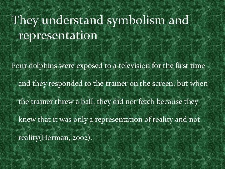 They understand symbolism and representation Four dolphins were exposed to a television for the