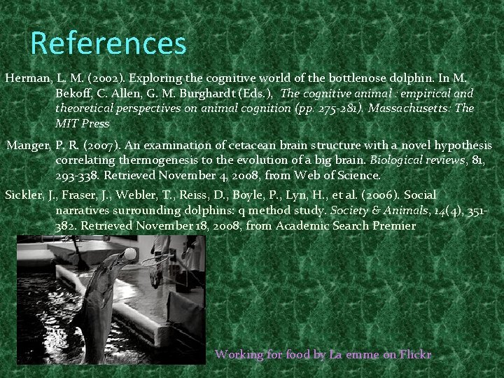 References Herman, L. M. (2002). Exploring the cognitive world of the bottlenose dolphin. In