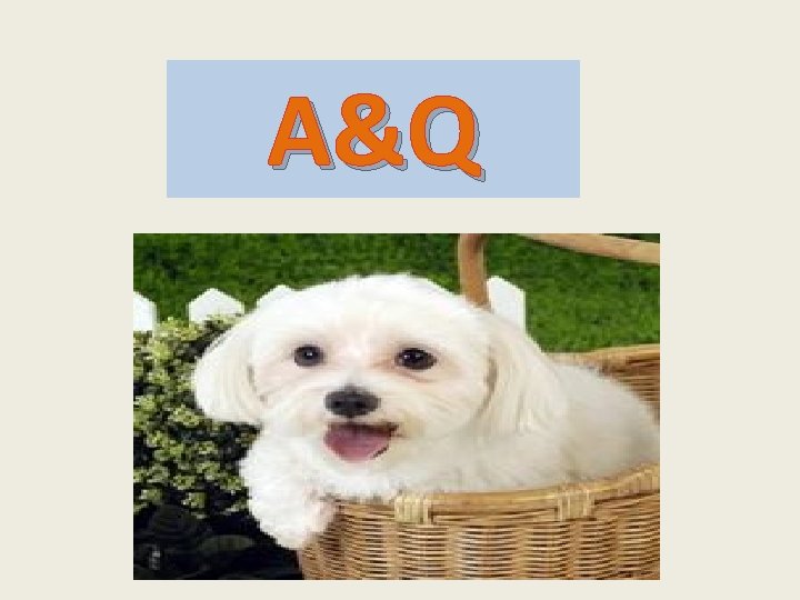 A&Q  A&Q