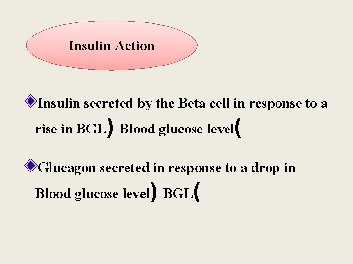 Insulin Action Insulin secreted by the Beta cell in response to a rise in Insulin Action Insulin secreted by the Beta cell in response to a rise in