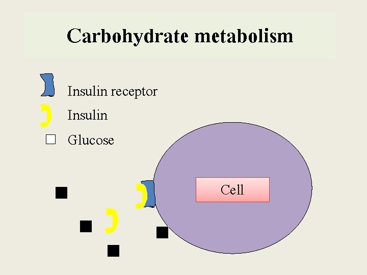 Carbohydrate metabolism Insulin receptor Insulin Glucose Cell  Carbohydrate metabolism Insulin receptor Insulin Glucose Cell