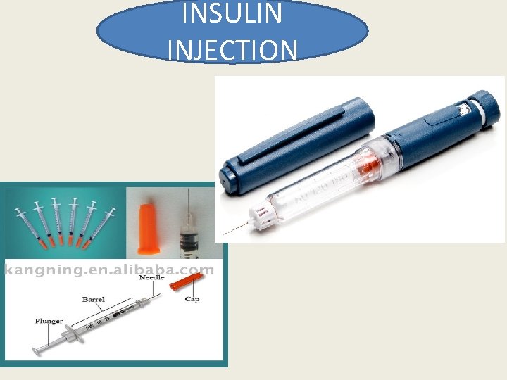 INSULIN INJECTION  INSULIN INJECTION