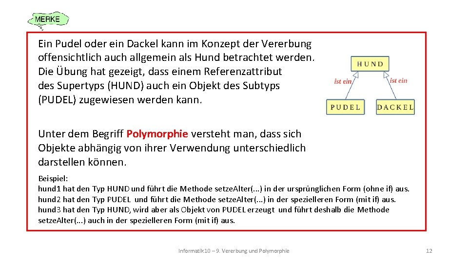 Ein Pudel oder ein Dackel kann im Konzept der Vererbung offensichtlich auch allgemein als