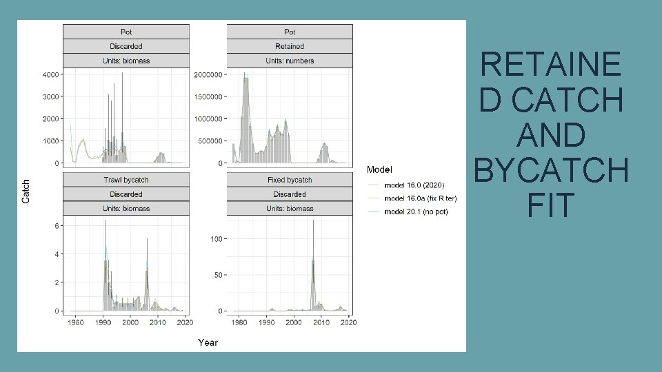 RETAINE D CATCH AND BYCATCH FIT 