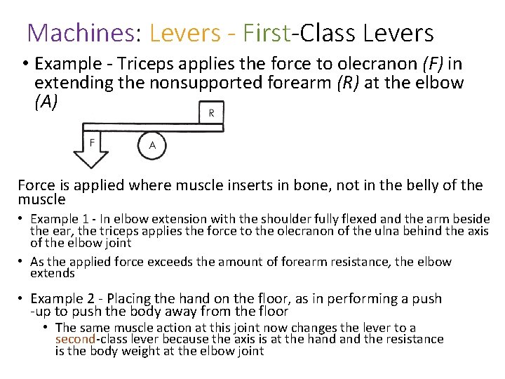 Machines: Levers - First-Class Levers • Example - Triceps applies the force to olecranon