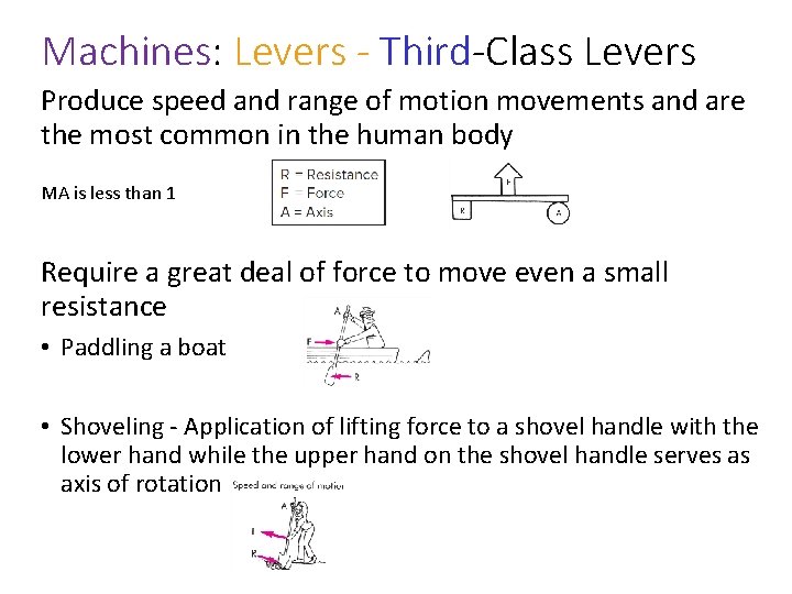 Machines: Levers - Third-Class Levers Produce speed and range of motion movements and are