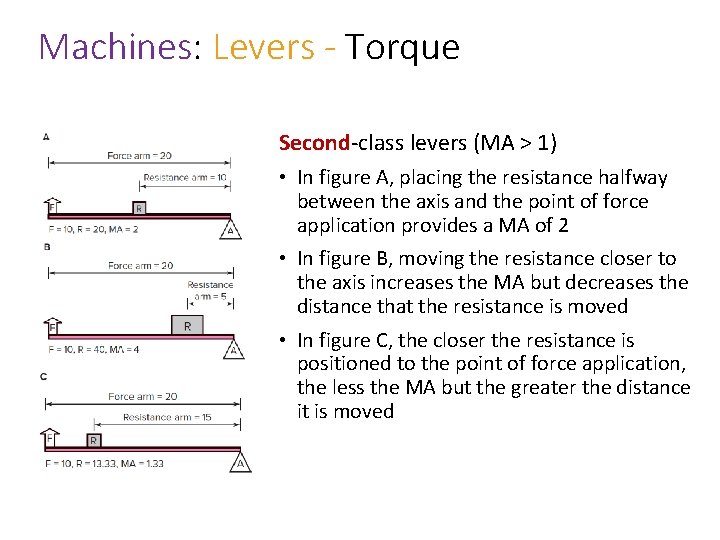 Machines: Levers - Torque Second-class levers (MA > 1) • In figure A, placing