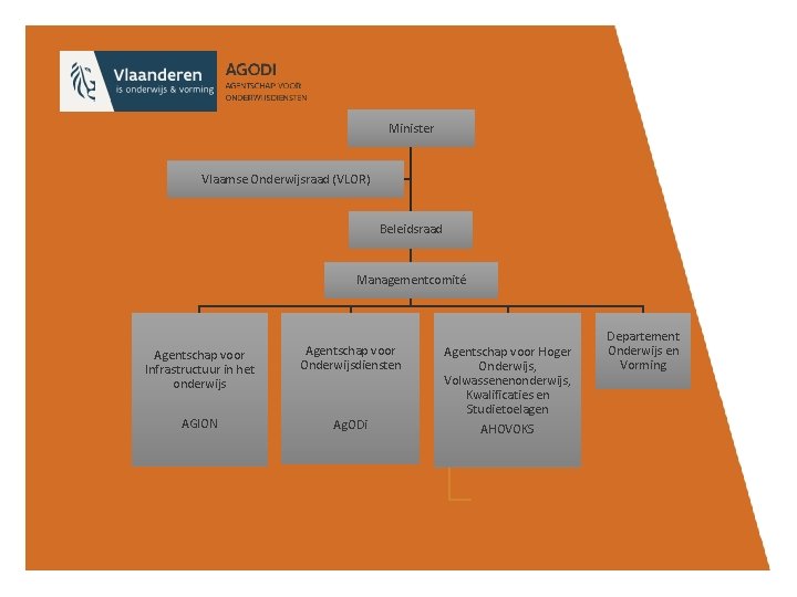 Minister Vlaamse Onderwijsraad (VLOR) Beleidsraad Managementcomité Agentschap voor Infrastructuur in het onderwijs Agentschap voor