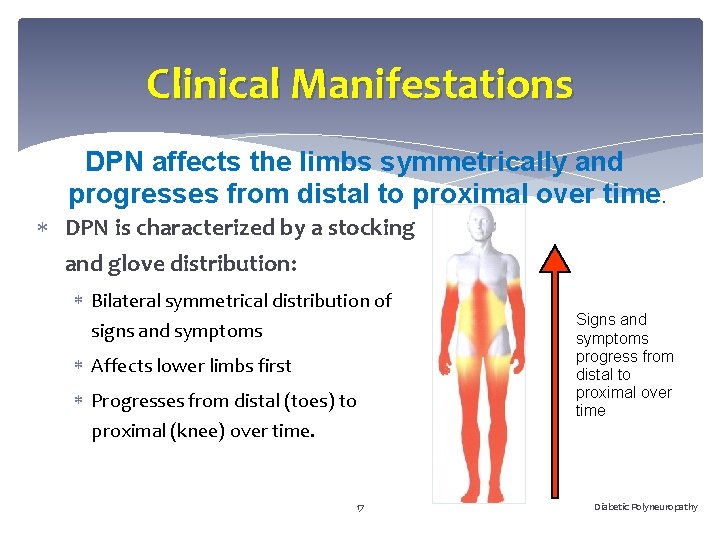Clinical Manifestations DPN affects the limbs symmetrically and progresses from distal to proximal over