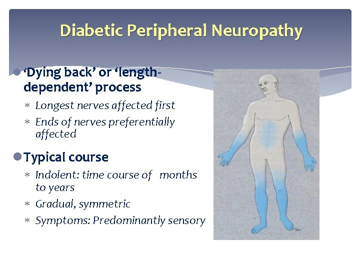 Diabetic Peripheral Neuropathy l ‘Dying back’ or ‘length- dependent’ process Longest nerves affected first