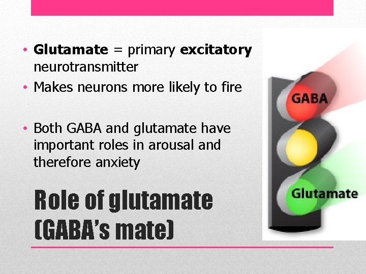  • Glutamate = primary excitatory neurotransmitter • Makes neurons more likely to fire