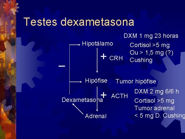 Testes dexametasona DXM 1 mg 23 horas Hipotálamo _ + CRH Hipófise + Dexametasona