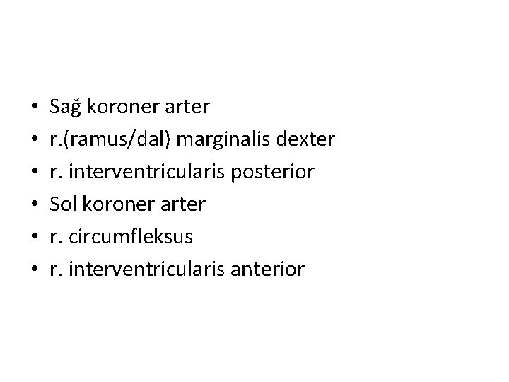  • • • Sağ koroner arter r. (ramus/dal) marginalis dexter r. interventricularis posterior