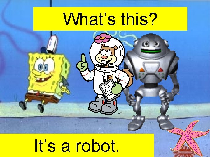 What’s this? It’s a robot. 