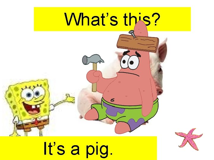 What’s this? It’s a pig. 