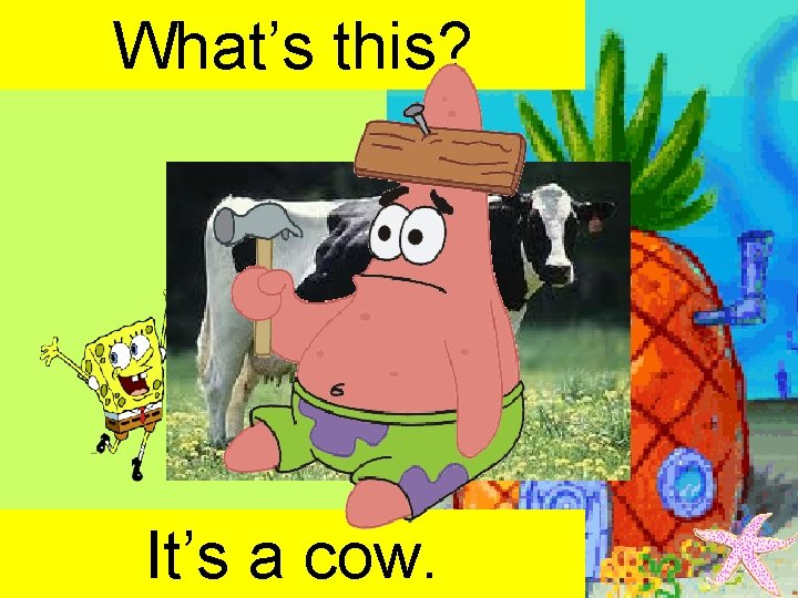 What’s this? It’s a cow. 