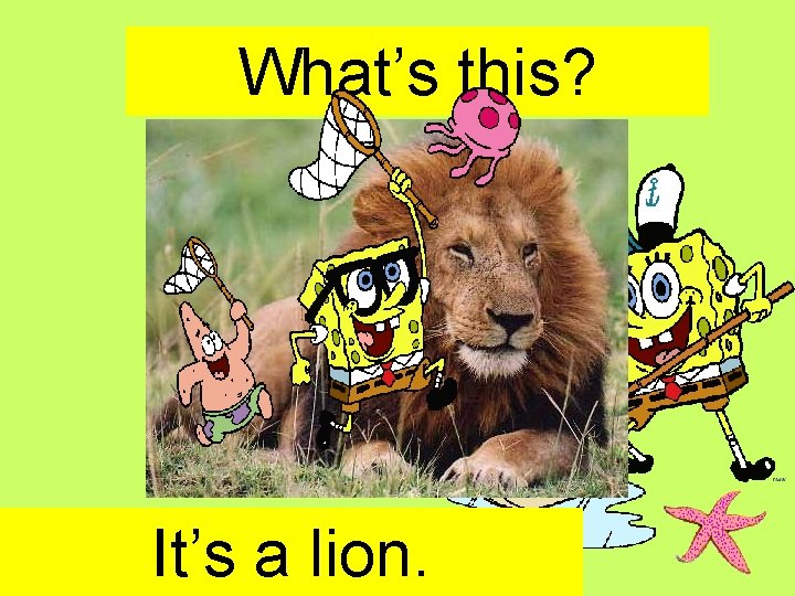 What’s this? It’s a lion. 