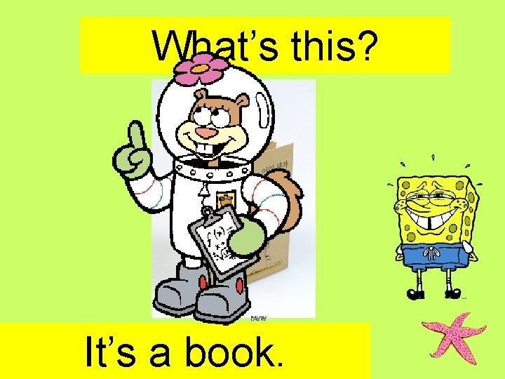 What’s this? It’s a book. 