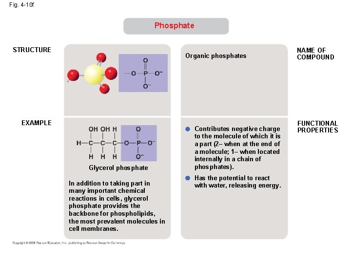 Fig. 4 -10 f Phosphate STRUCTURE Organic phosphates EXAMPLE Glycerol phosphate In addition to Fig. 4 -10 f Phosphate STRUCTURE Organic phosphates EXAMPLE Glycerol phosphate In addition to