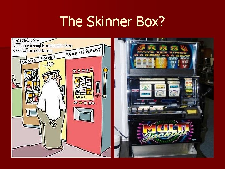 The Skinner Box? 