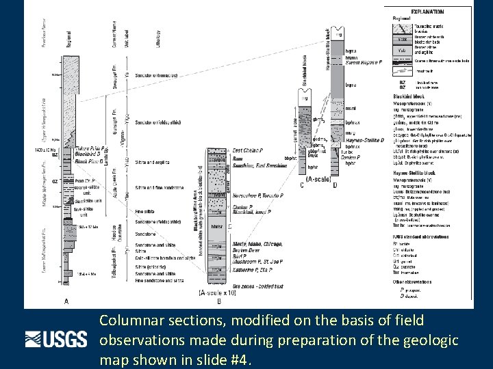 Columnar sections, modified on the basis of field observations made during preparation of the