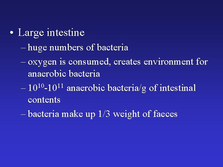  • Large intestine – huge numbers of bacteria – oxygen is consumed, creates