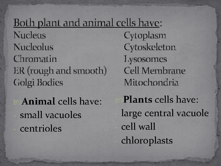 Both plant and animal cells have: Nucleus Nucleolus Chromatin ER (rough and smooth) Golgi